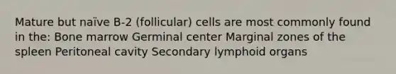 Mature but naïve B-2 (follicular) cells are most commonly found in the: Bone marrow Germinal center Marginal zones of the spleen Peritoneal cavity Secondary lymphoid organs