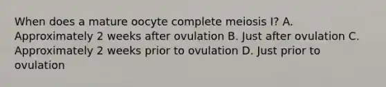 When does a mature oocyte complete meiosis I? A. Approximately 2 weeks after ovulation B. Just after ovulation C. Approximately 2 weeks prior to ovulation D. Just prior to ovulation