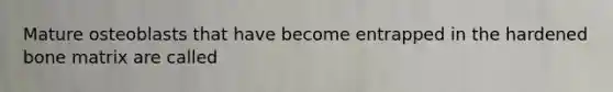 Mature osteoblasts that have become entrapped in the hardened bone matrix are called