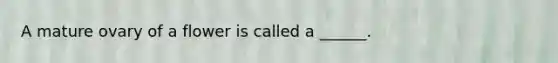 A mature ovary of a flower is called a ______.