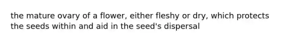 the mature ovary of a flower, either fleshy or dry, which protects the seeds within and aid in the seed's dispersal