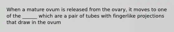 When a mature ovum is released from the ovary, it moves to one of the ______ which are a pair of tubes with fingerlike projections that draw in the ovum