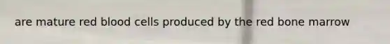are mature red blood cells produced by the red bone marrow
