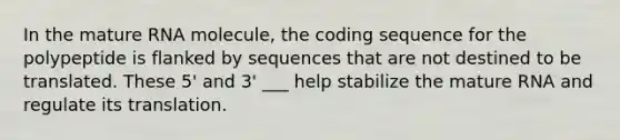 In the mature RNA molecule, the coding sequence for the polypeptide is flanked by sequences that are not destined to be translated. These 5' and 3' ___ help stabilize the mature RNA and regulate its translation.