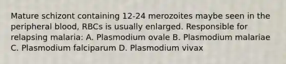 Mature schizont containing 12-24 merozoites maybe seen in the peripheral blood, RBCs is usually enlarged. Responsible for relapsing malaria: A. Plasmodium ovale B. Plasmodium malariae C. Plasmodium falciparum D. Plasmodium vivax