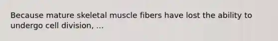 Because mature skeletal muscle fibers have lost the ability to undergo cell division, ...