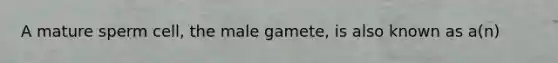 A mature sperm cell, the male gamete, is also known as a(n)