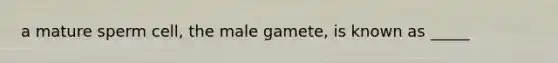 a mature sperm cell, the male gamete, is known as _____