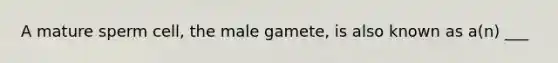 A mature sperm cell, the male gamete, is also known as a(n) ___