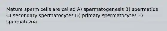 Mature sperm cells are called A) spermatogenesis B) spermatids C) secondary spermatocytes D) primary spermatocytes E) spermatozoa