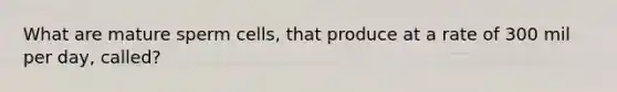 What are mature sperm cells, that produce at a rate of 300 mil per day, called?