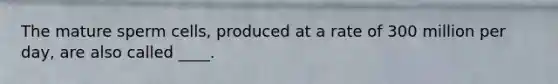 The mature sperm cells, produced at a rate of 300 million per day, are also called ____.