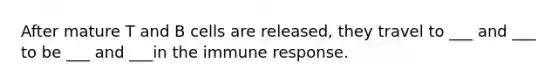 After mature T and B cells are released, they travel to ___ and ___ to be ___ and ___in the immune response.
