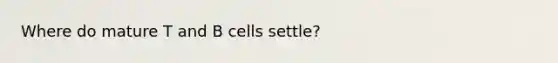 Where do mature T and B cells settle?