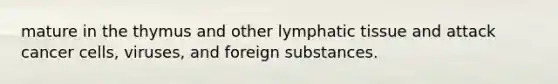 mature in the thymus and other lymphatic tissue and attack cancer cells, viruses, and foreign substances.