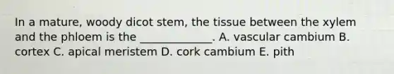 In a mature, woody dicot stem, the tissue between the xylem and the phloem is the _____________. A. vascular cambium B. cortex C. apical meristem D. cork cambium E. pith