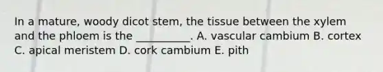 In a mature, woody dicot stem, the tissue between the xylem and the phloem is the __________. A. vascular cambium B. cortex C. apical meristem D. cork cambium E. pith