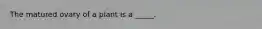 The matured ovary of a plant is a _____.