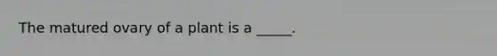 The matured ovary of a plant is a _____.