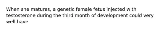 When she matures, a genetic female fetus injected with testosterone during the third month of development could very well have