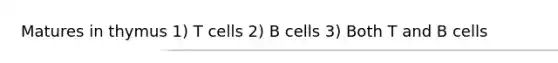 Matures in thymus 1) T cells 2) B cells 3) Both T and B cells