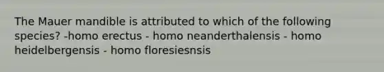 The Mauer mandible is attributed to which of the following species? -homo erectus - homo neanderthalensis - homo heidelbergensis - homo floresiesnsis