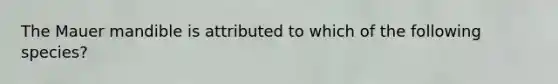 The Mauer mandible is attributed to which of the following species?