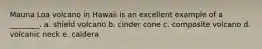 Mauna Loa volcano in Hawaii is an excellent example of a ________. a. shield volcano b. cinder cone c. composite volcano d. volcanic neck e. caldera