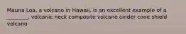 Mauna Loa, a volcano in Hawaii, is an excellent example of a ________. volcanic neck composite volcano cinder cone shield volcano