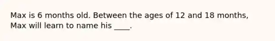 Max is 6 months old. Between the ages of 12 and 18 months, Max will learn to name his ____.