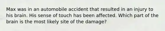 Max was in an automobile accident that resulted in an injury to his brain. His sense of touch has been affected. Which part of the brain is the most likely site of the damage?