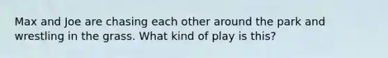 Max and Joe are chasing each other around the park and wrestling in the grass. What kind of play is this?