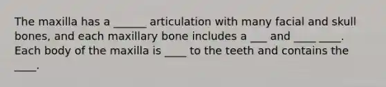 The maxilla has a ______ articulation with many facial and skull bones, and each maxillary bone includes a ___ and ____ ____. Each body of the maxilla is ____ to the teeth and contains the ____.