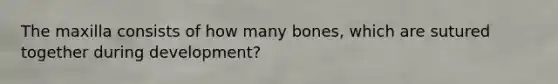 The maxilla consists of how many bones, which are sutured together during development?