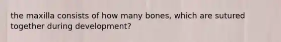 the maxilla consists of how many bones, which are sutured together during development?