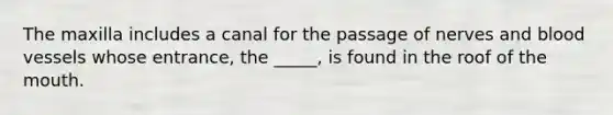 The maxilla includes a canal for the passage of nerves and blood vessels whose entrance, the _____, is found in the roof of the mouth.