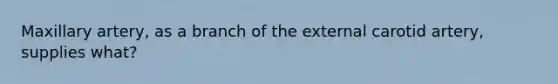 Maxillary artery, as a branch of the external carotid artery, supplies what?