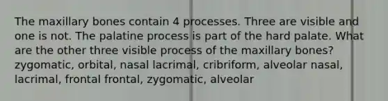 The maxillary bones contain 4 processes. Three are visible and one is not. The palatine process is part of the hard palate. What are the other three visible process of the maxillary bones? zygomatic, orbital, nasal lacrimal, cribriform, alveolar nasal, lacrimal, frontal frontal, zygomatic, alveolar