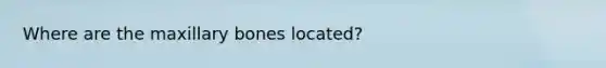 Where are the maxillary bones located?