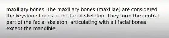 maxillary bones -The maxillary bones (maxillae) are considered the keystone bones of the facial skeleton. They form the central part of the facial skeleton, articulating with all facial bones except the mandible.