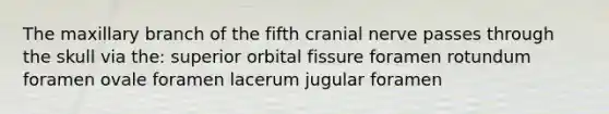 The maxillary branch of the fifth cranial nerve passes through the skull via the: superior orbital fissure foramen rotundum foramen ovale foramen lacerum jugular foramen