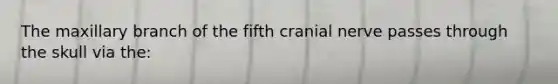 The maxillary branch of the fifth cranial nerve passes through the skull via the: