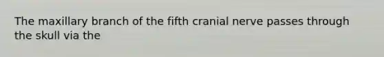 The maxillary branch of the fifth cranial nerve passes through the skull via the