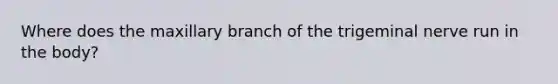 Where does the maxillary branch of the trigeminal nerve run in the body?