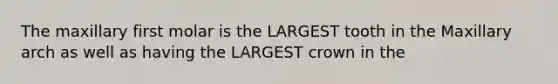 The maxillary first molar is the LARGEST tooth in the Maxillary arch as well as having the LARGEST crown in the