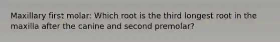 Maxillary first molar: Which root is the third longest root in the maxilla after the canine and second premolar?