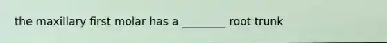 the maxillary first molar has a ________ root trunk