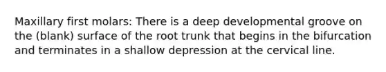Maxillary first molars: There is a deep developmental groove on the (blank) surface of the root trunk that begins in the bifurcation and terminates in a shallow depression at the cervical line.