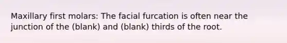 Maxillary first molars: The facial furcation is often near the junction of the (blank) and (blank) thirds of the root.