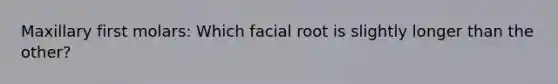 Maxillary first molars: Which facial root is slightly longer than the other?